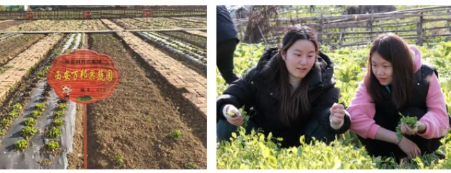 澳门云顶国际app