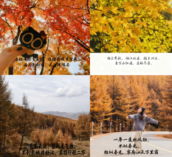 澳门云顶国际app