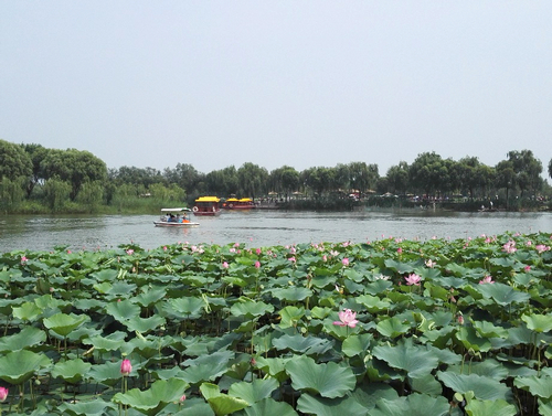 澳门云顶国际app