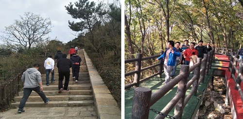 澳门云顶国际app