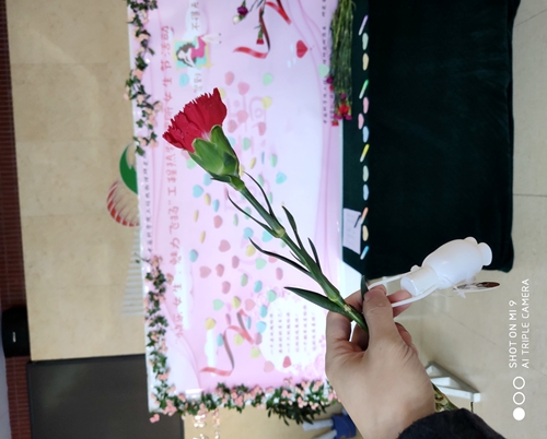 澳门云顶国际app