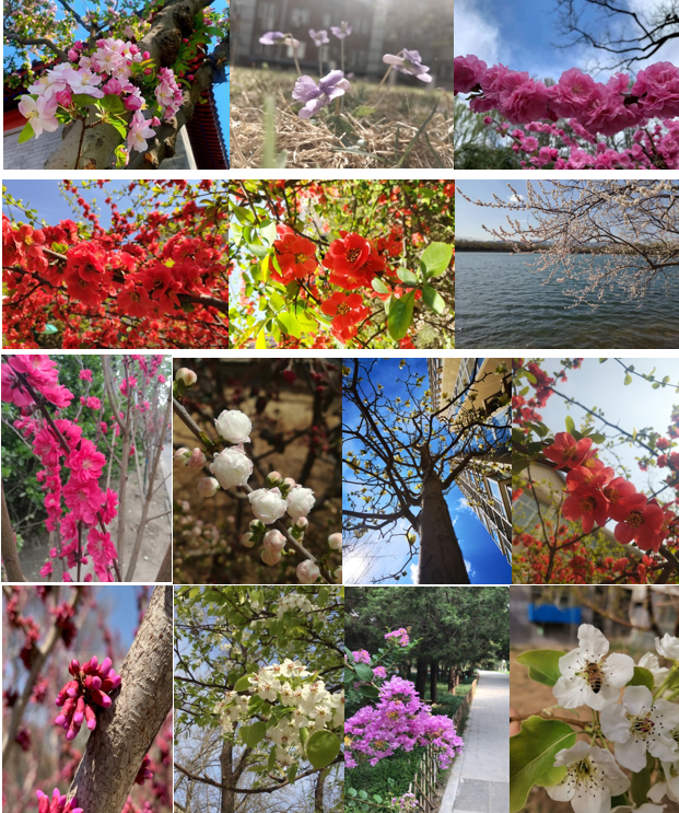 澳门云顶国际app