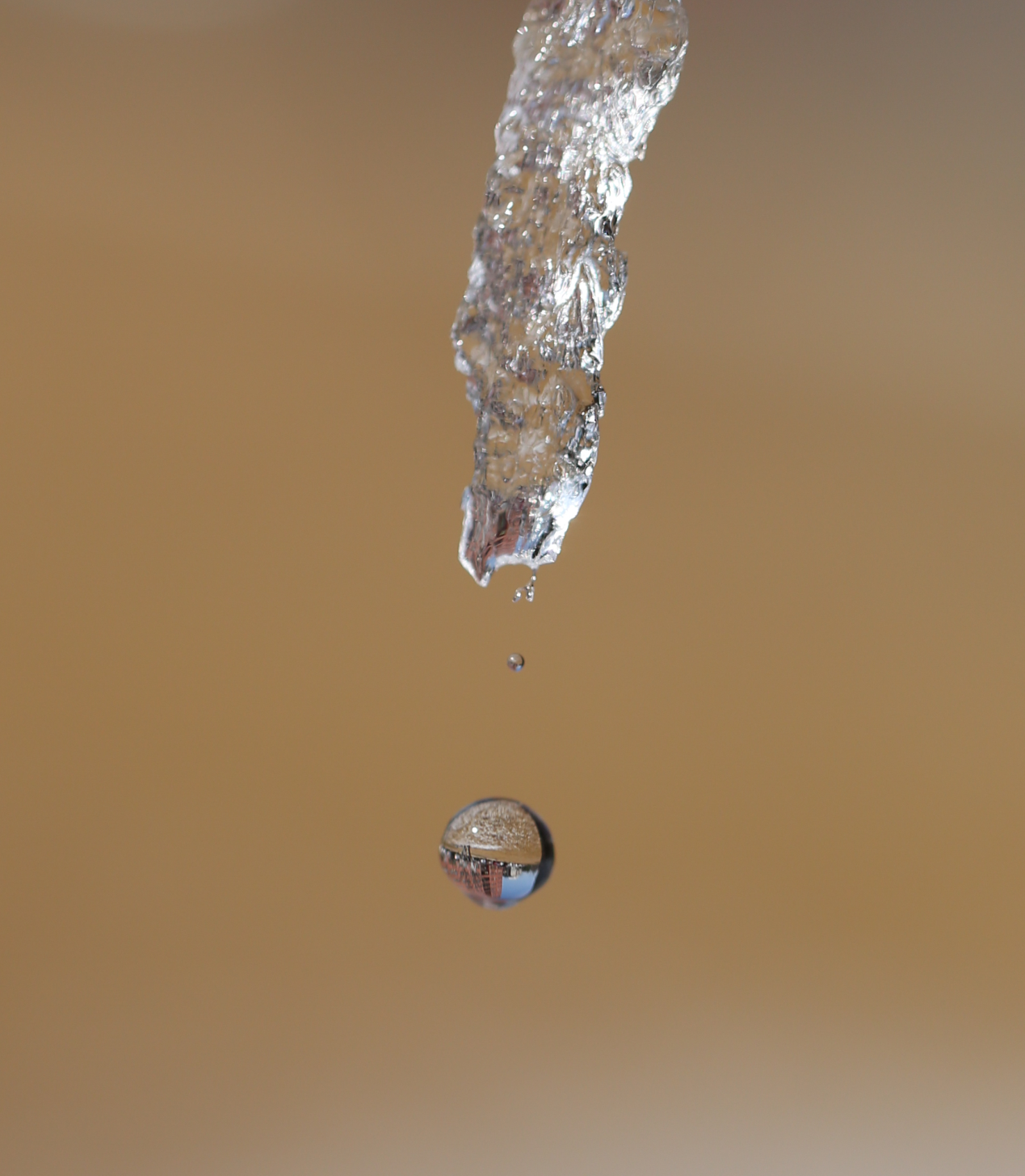 澳门云顶国际app