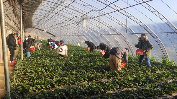 澳门云顶国际app