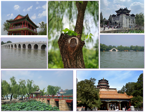 澳门云顶国际app