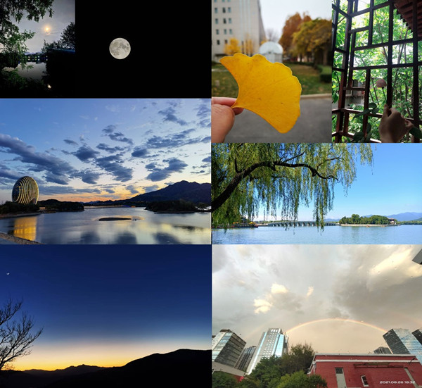 澳门云顶国际app