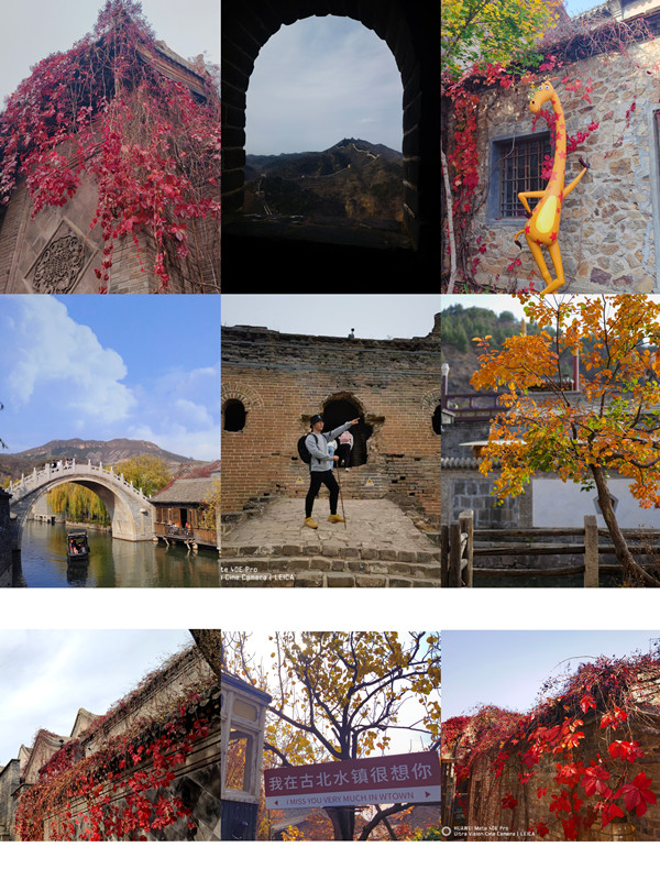 澳门云顶国际app