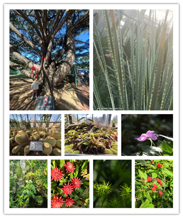 澳门云顶国际app