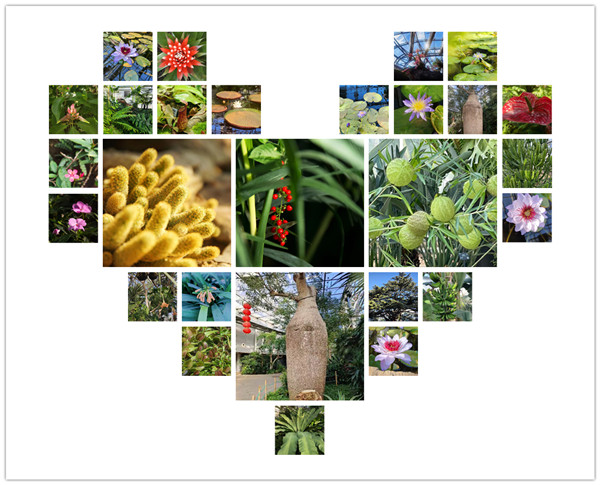 澳门云顶国际app