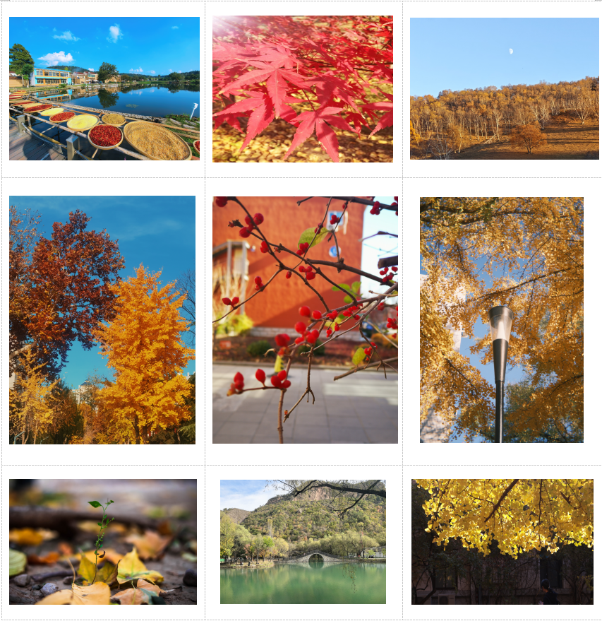 澳门云顶国际app