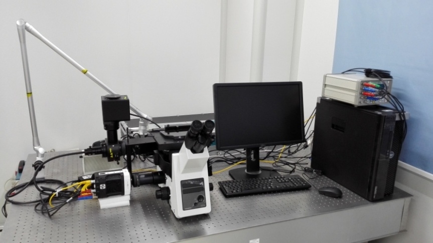 澳门云顶国际app