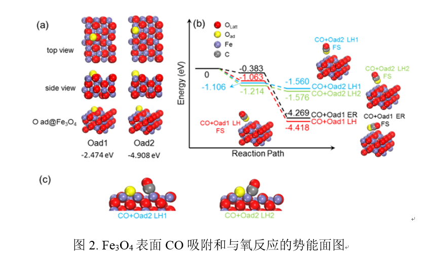 澳门云顶国际app