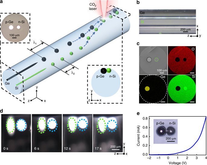澳门云顶国际app