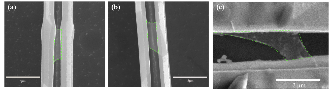 澳门云顶国际app