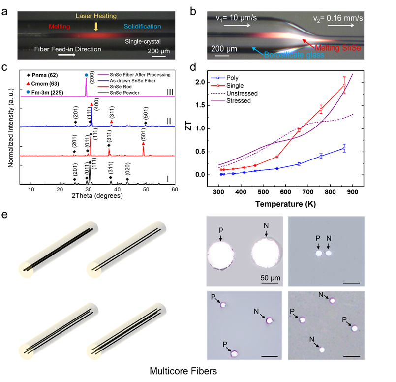 澳门云顶国际app