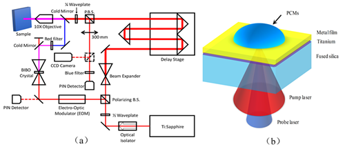 澳门云顶国际app