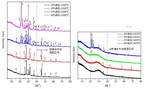 澳门云顶国际app