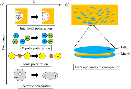 图3 (a)极化种类;(b)微电容模型示意_副本 澳门云顶国际app