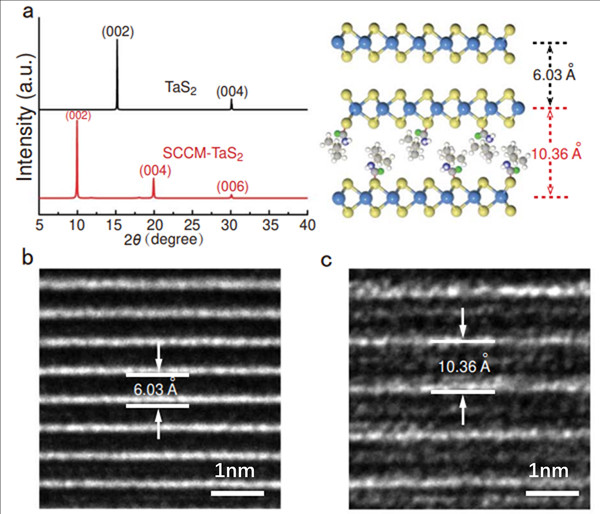 澳门云顶国际app