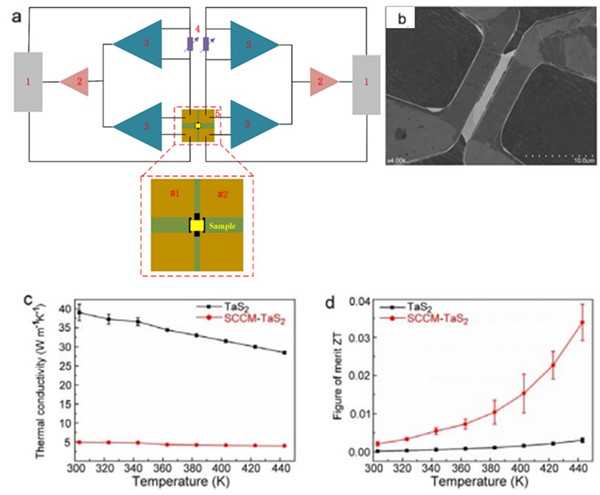 澳门云顶国际app