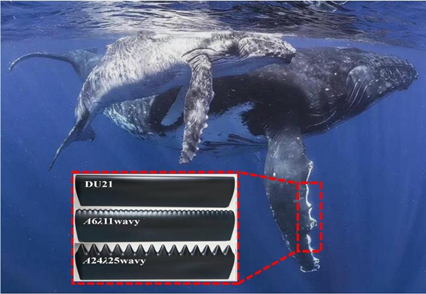 澳门云顶国际app