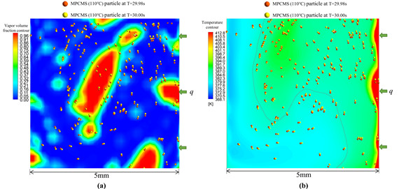澳门云顶国际app