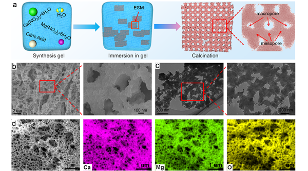 澳门云顶国际app
