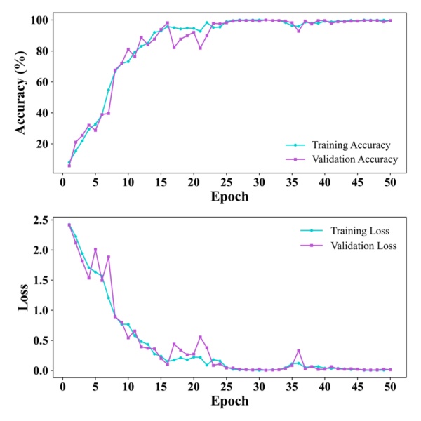 澳门云顶国际app