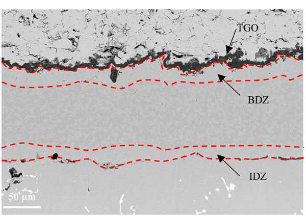 澳门云顶国际app