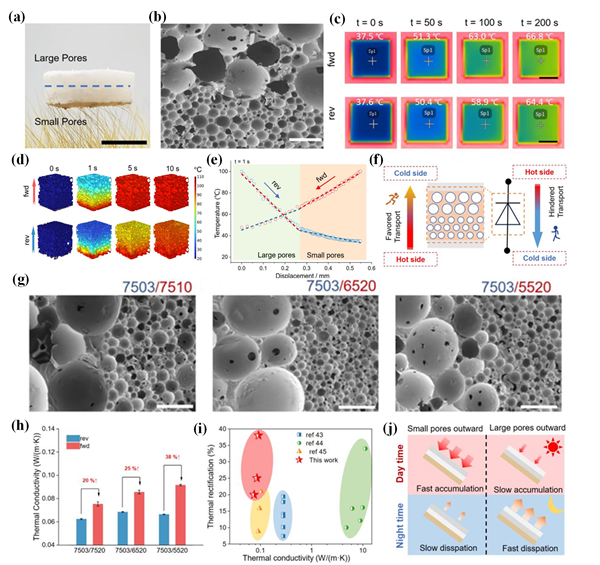 澳门云顶国际app