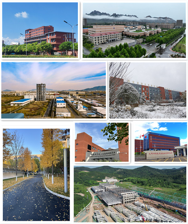 澳门云顶国际app