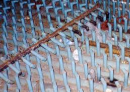 澳门云顶国际app