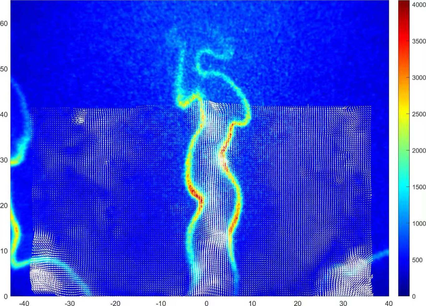 澳门云顶国际app