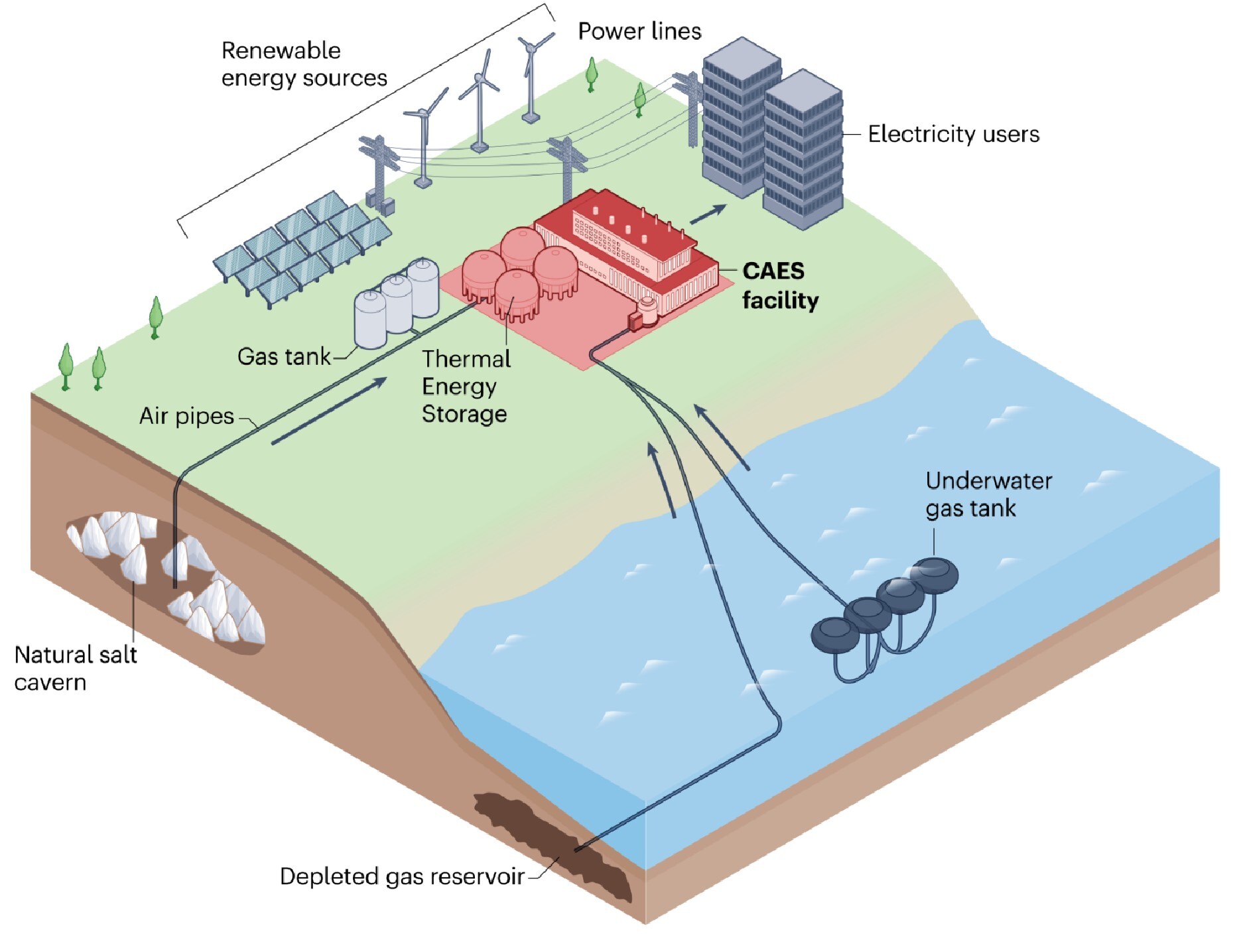 澳门云顶国际app